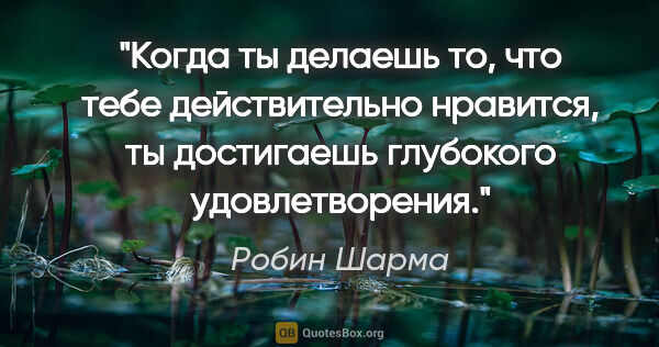 Робин Шарма цитата: "Когда ты делаешь то, что тебе действительно нравится, ты..."