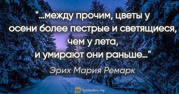 Эрих Мария Ремарк цитата: "…между прочим, цветы у осени более пестрые и светящиеся, чем у..."