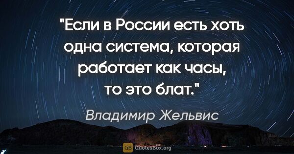 Владимир Жельвис цитата: "Если в России есть хоть одна система, которая работает как..."