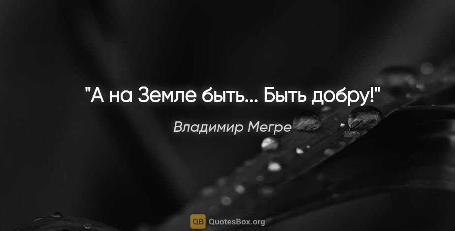 Владимир Мегре цитата: "А на Земле быть... Быть добру!"