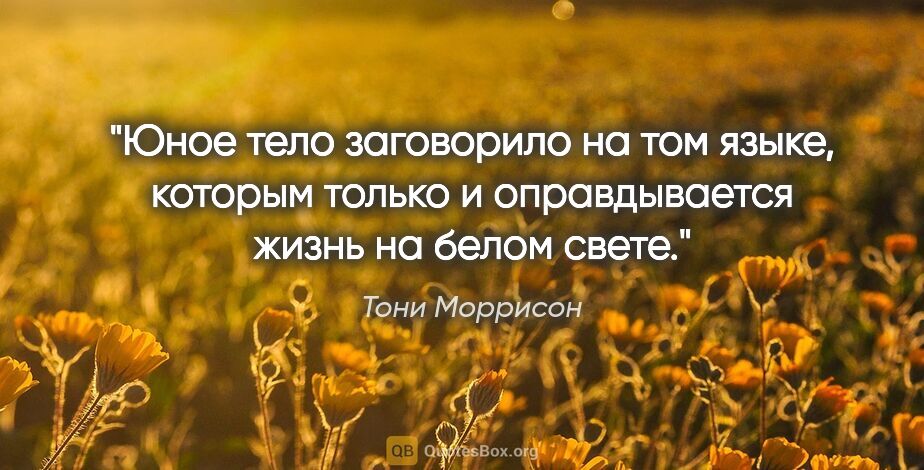 Тони Моррисон цитата: "Юное тело заговорило на том языке, которым только и..."