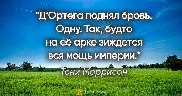 Тони Моррисон цитата: "Д‘Ортега поднял бровь. Одну. Так, будто на её арке зиждется..."