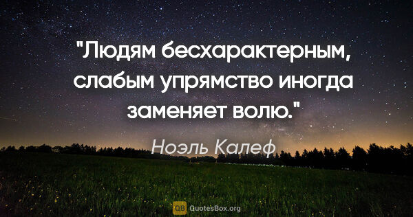 Ноэль Калеф цитата: "Людям бесхарактерным, слабым упрямство иногда заменяет волю."