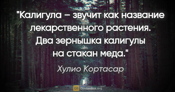 Хулио Кортасар цитата: "Калигула – звучит как название лекарственного растения. Два..."