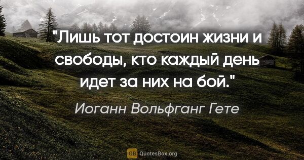 Иоганн Вольфганг Гете цитата: "Лишь тот достоин жизни и свободы, кто каждый день идет за них..."