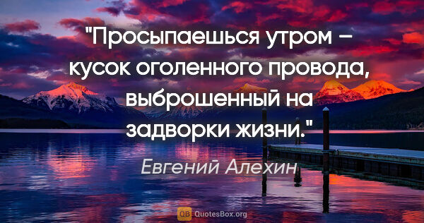 Евгений Алехин цитата: "Просыпаешься утром – кусок оголенного провода, выброшенный на..."