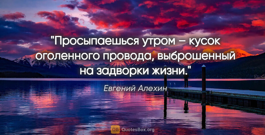 Евгений Алехин цитата: "Просыпаешься утром – кусок оголенного провода, выброшенный на..."