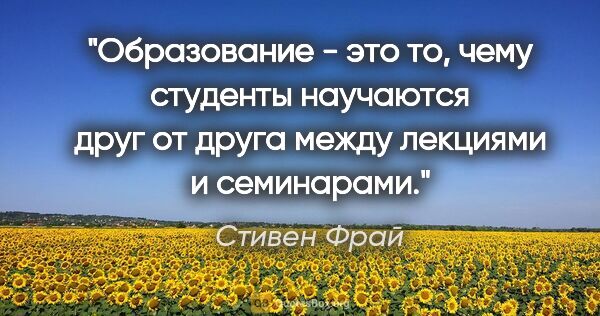 Стивен Фрай цитата: "Образование - это то, чему студенты научаются друг от друга..."