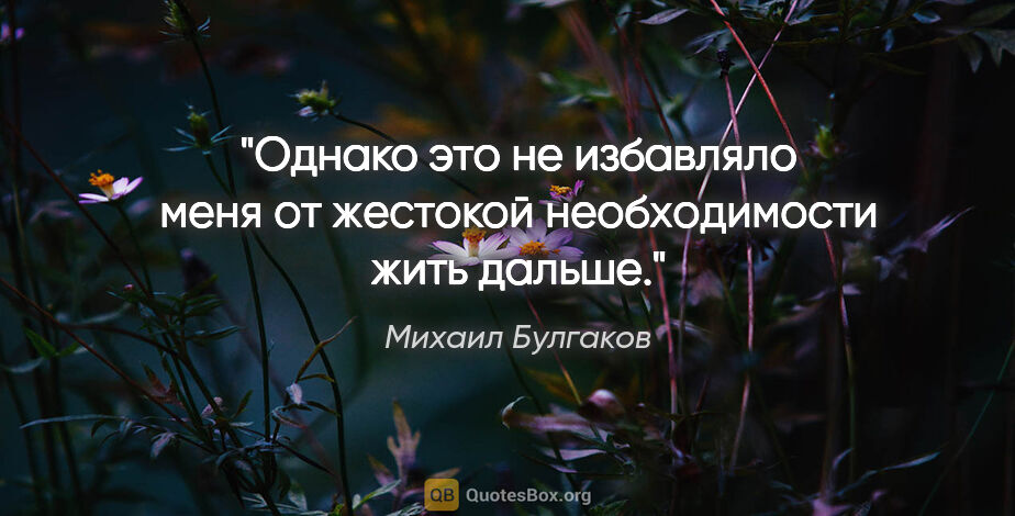 Михаил Булгаков цитата: "Однако это не избавляло меня от жестокой необходимости жить..."