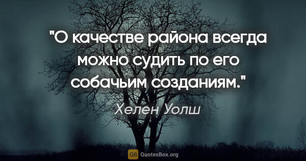 Хелен Уолш цитата: "О качестве района всегда можно судить по его собачьим созданиям."