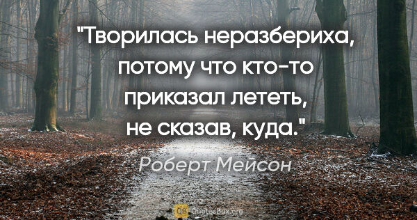 Роберт Мейсон цитата: "Творилась неразбериха, потому что кто-то приказал лететь, не..."