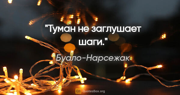 Буало-Нарсежак цитата: "Туман не заглушает шаги."