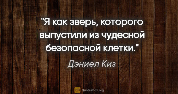 Дэниел Киз цитата: "Я как зверь, которого выпустили из чудесной безопасной клетки."