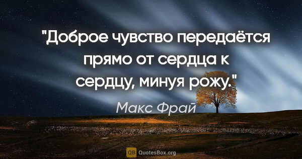 Макс Фрай цитата: "Доброе чувство передаётся прямо от сердца к сердцу, минуя рожу."