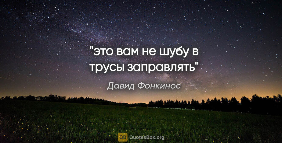 Давид Фонкинос цитата: ""это вам не шубу в трусы заправлять""