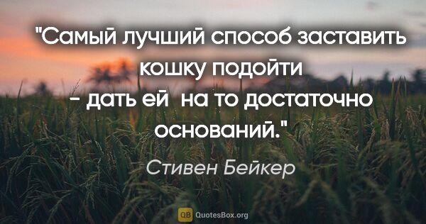 Стивен Бейкер цитата: "Самый лучший способ заставить кошку подойти - дать ей  на то..."