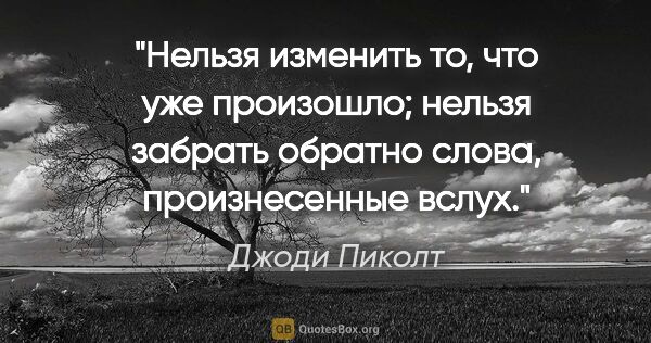 Джоди Пиколт цитата: "Нельзя изменить то, что уже произошло; нельзя забрать обратно..."