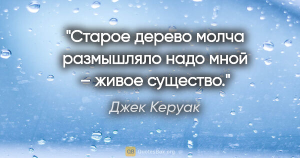 Джек Керуак цитата: "Старое дерево молча размышляло надо мной – живое существо."