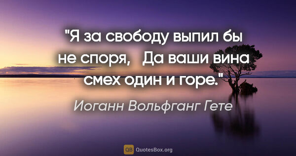 Иоганн Вольфганг Гете цитата: "Я за свободу выпил бы не споря, 

 Да ваши вина смех один и горе."