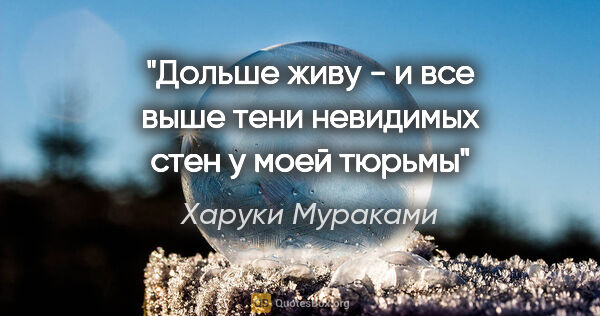 Харуки Мураками цитата: "Дольше живу - и все выше тени невидимых стен у моей тюрьмы"