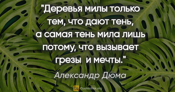 Александр Дюма цитата: "Деревья милы только тем, что дают тень, а самая тень мила лишь..."