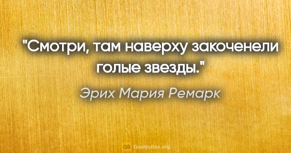 Эрих Мария Ремарк цитата: "Смотри, там наверху закоченели голые звезды."