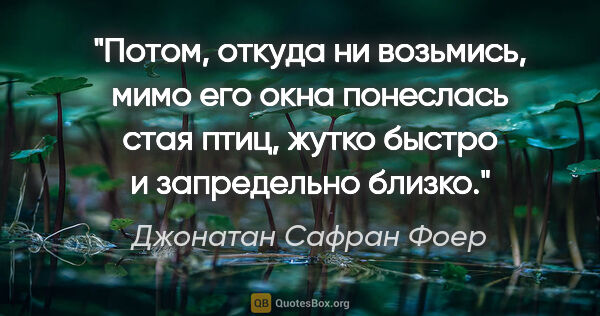 Джонатан Сафран Фоер цитата: "Потом, откуда ни возьмись, мимо его окна понеслась стая птиц,..."