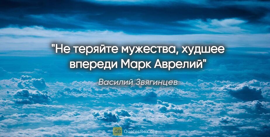 Василий Звягинцев цитата: "«Не теряйте мужества, худшее впереди»

Марк Аврелий"