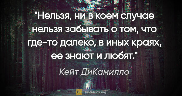 Кейт ДиКамилло цитата: "Нельзя, ни в коем случае нельзя забывать о том, что где-то..."