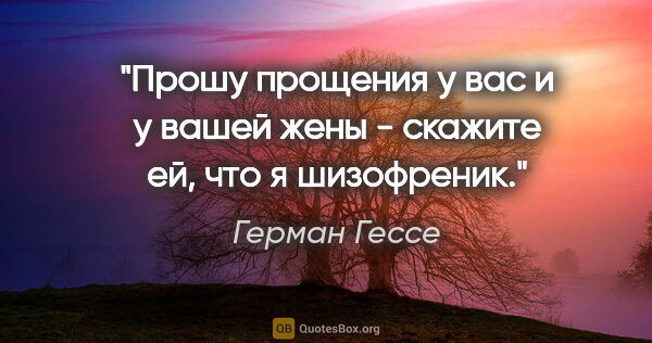 Герман Гессе цитата: "Прошу прощения у вас и у вашей жены - скажите ей, что я..."