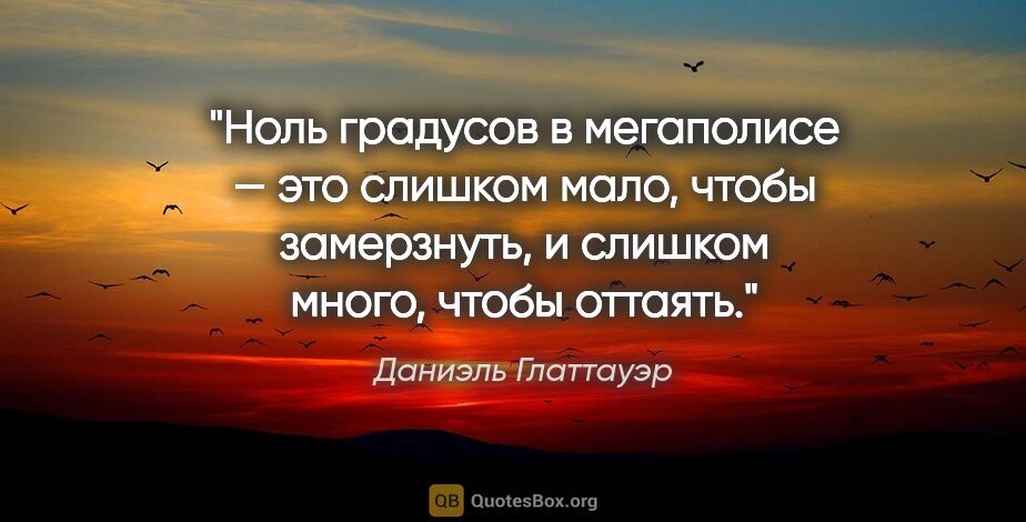 Даниэль Глаттауэр цитата: "Ноль градусов в мегаполисе — это слишком мало, чтобы..."