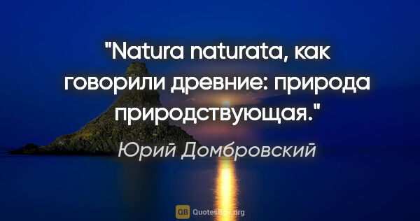 Юрий Домбровский цитата: "Natura naturata, как говорили древние: природа природствующая."