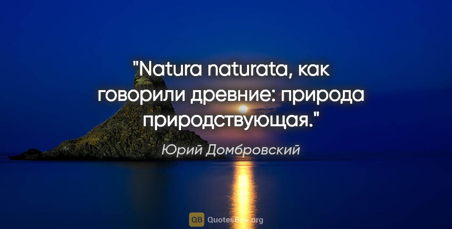 Юрий Домбровский цитата: "Natura naturata, как говорили древние: природа природствующая."