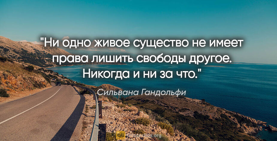 Сильвана Гандольфи цитата: "Ни одно живое существо не имеет права лишить свободы другое...."