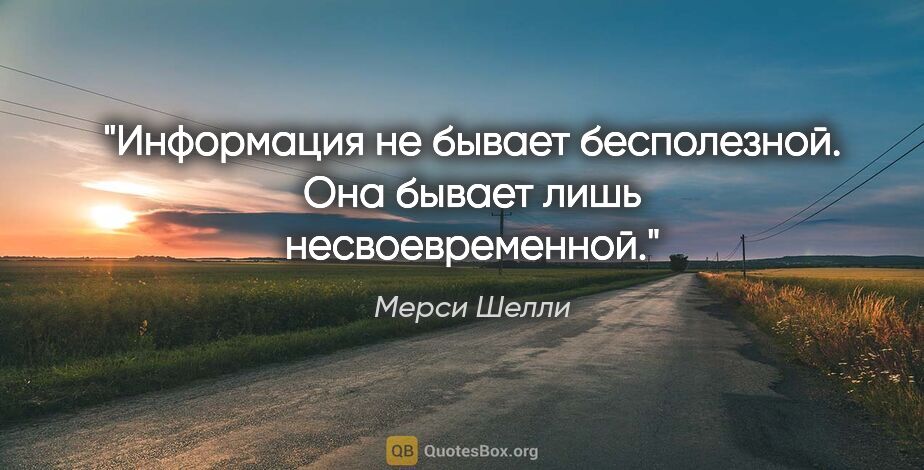 Мерси Шелли цитата: "Информация не бывает бесполезной. Она бывает лишь..."