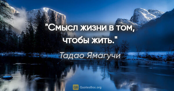 Тадао Ямагучи цитата: "Смысл жизни в том, чтобы жить."