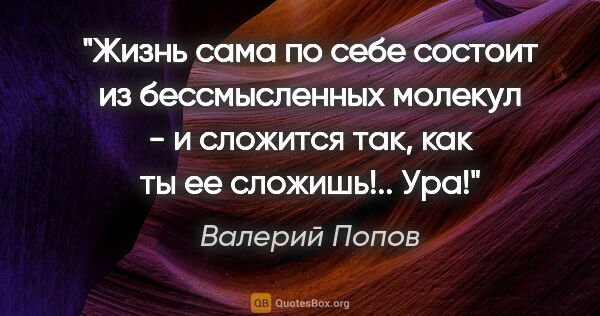 Валерий Попов цитата: "Жизнь сама по себе состоит из бессмысленных молекул - и..."