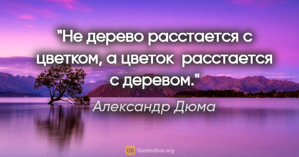Александр Дюма цитата: "Не дерево расстается с цветком, а цветок  расстается с деревом."