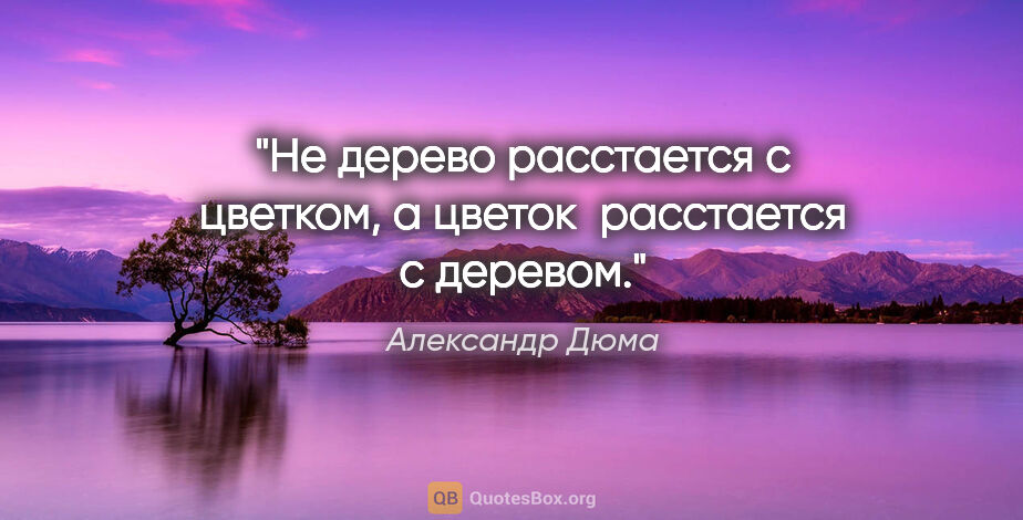 Александр Дюма цитата: "Не дерево расстается с цветком, а цветок  расстается с деревом."