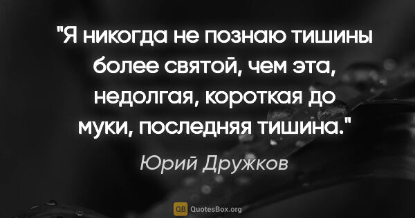 Юрий Дружков цитата: "Я никогда не познаю тишины более святой, чем эта, недолгая,..."