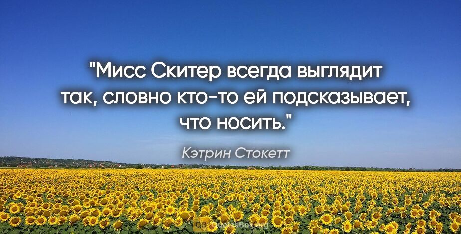 Кэтрин Стокетт цитата: "Мисс Скитер всегда выглядит так, словно кто-то ей..."