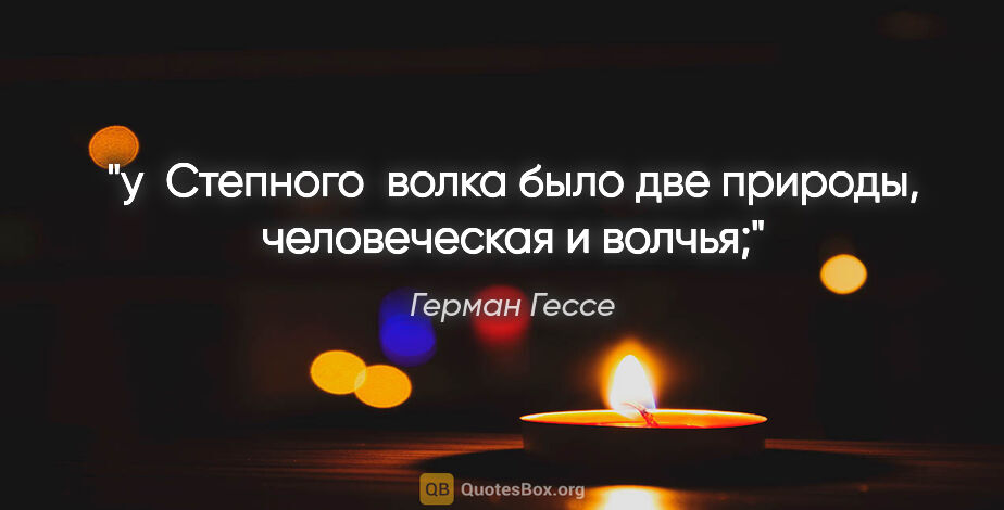 Герман Гессе цитата: "у  Степного  волка было две природы, человеческая и

волчья;"