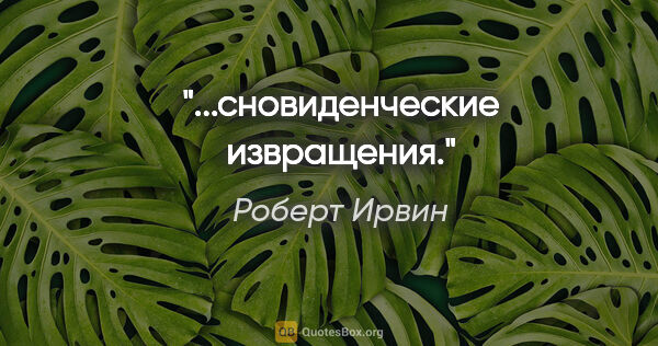 Роберт Ирвин цитата: "...сновиденческие извращения."