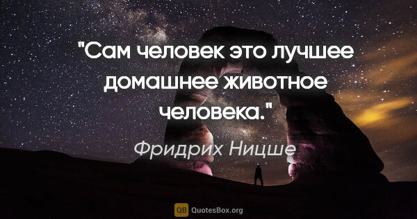 Фридрих Ницше цитата: "Сам человек это лучшее домашнее животное человека."