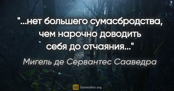 Мигель де Сервантес Сааведра цитата: "нет большего сумасбродства, чем нарочно доводить себя до..."