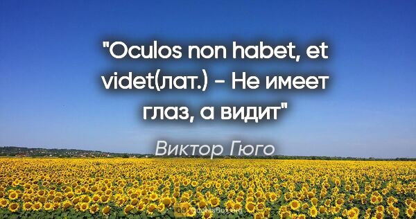 Виктор Гюго цитата: "Oculos non habet, et videt(лат.) - Не имеет глаз, а видит"