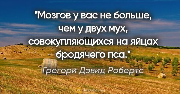 Грегори Дэвид Робертс цитата: "Мозгов у вас не больше, чем у двух мух, совокупляющихся на..."