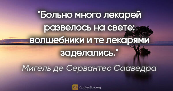 Мигель де Сервантес Сааведра цитата: "Больно много лекарей развелось на свете: волшебники и те..."