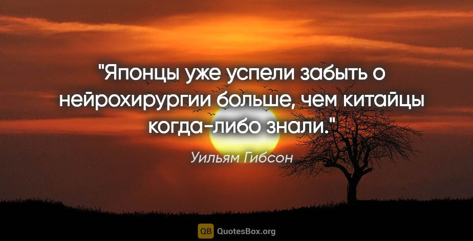 Уильям Гибсон цитата: "Японцы уже успели забыть о нейрохирургии больше, чем китайцы..."