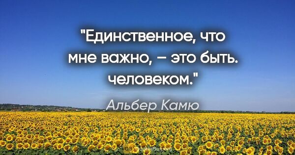 Альбер Камю цитата: "Единственное, что мне важно, – это быть. человеком."
